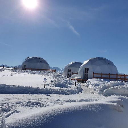 Glamping Pasieka Namiot Glamp Bukowina Tatrzanska - Domki W Gorach Groń Eksteriør bilde
