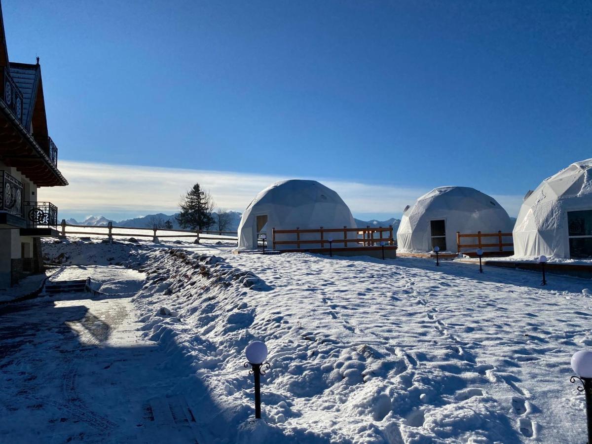 Glamping Pasieka Namiot Glamp Bukowina Tatrzanska - Domki W Gorach Groń Eksteriør bilde
