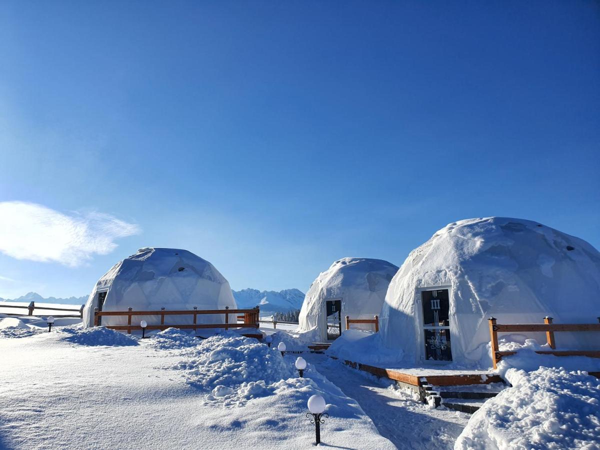 Glamping Pasieka Namiot Glamp Bukowina Tatrzanska - Domki W Gorach Groń Eksteriør bilde