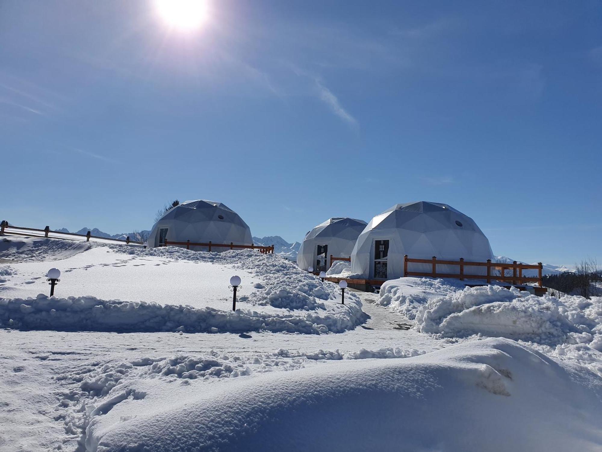Glamping Pasieka Namiot Glamp Bukowina Tatrzanska - Domki W Gorach Groń Eksteriør bilde